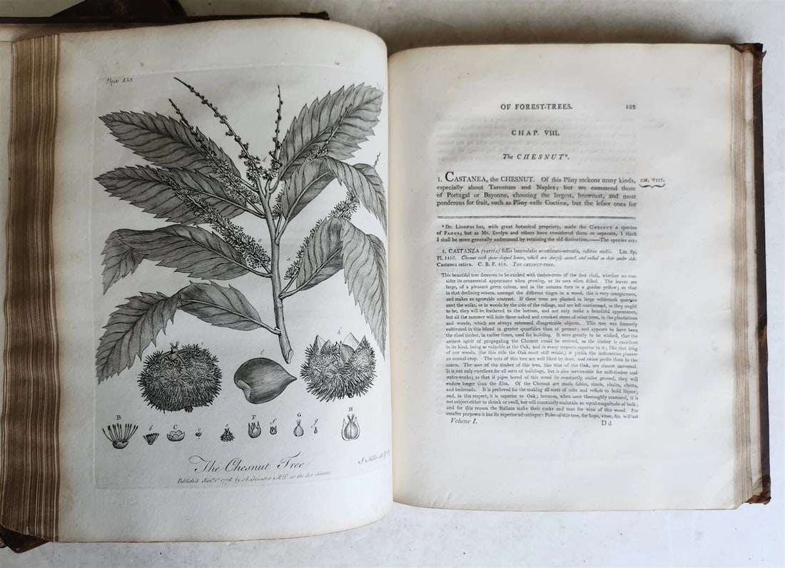 1801 SILVA: DISCOURSE OF FOREST TREES 2 VOLUMES ILLUSTRATED antique in ENGLISH - 11