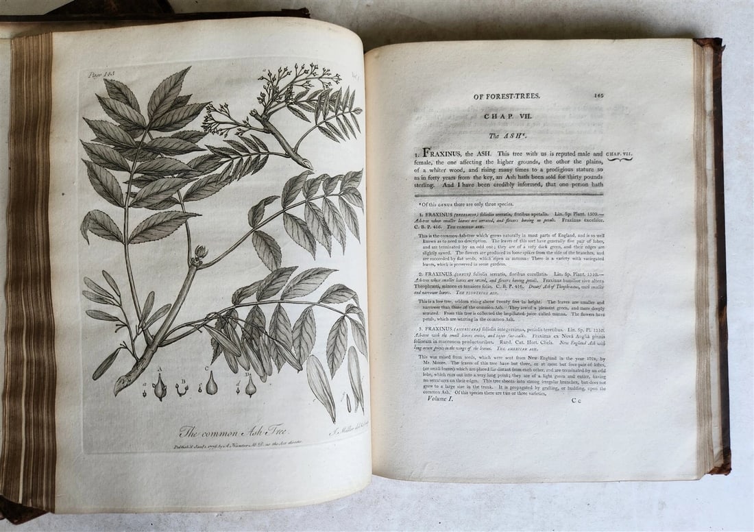 1801 SILVA: DISCOURSE OF FOREST TREES 2 VOLUMES ILLUSTRATED antique in ENGLISH - 12