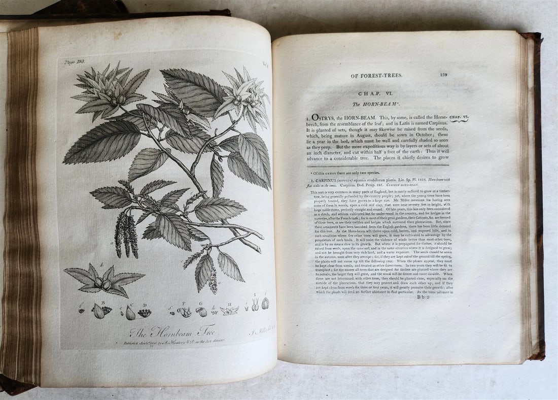 1801 SILVA: DISCOURSE OF FOREST TREES 2 VOLUMES ILLUSTRATED antique in ENGLISH - 13