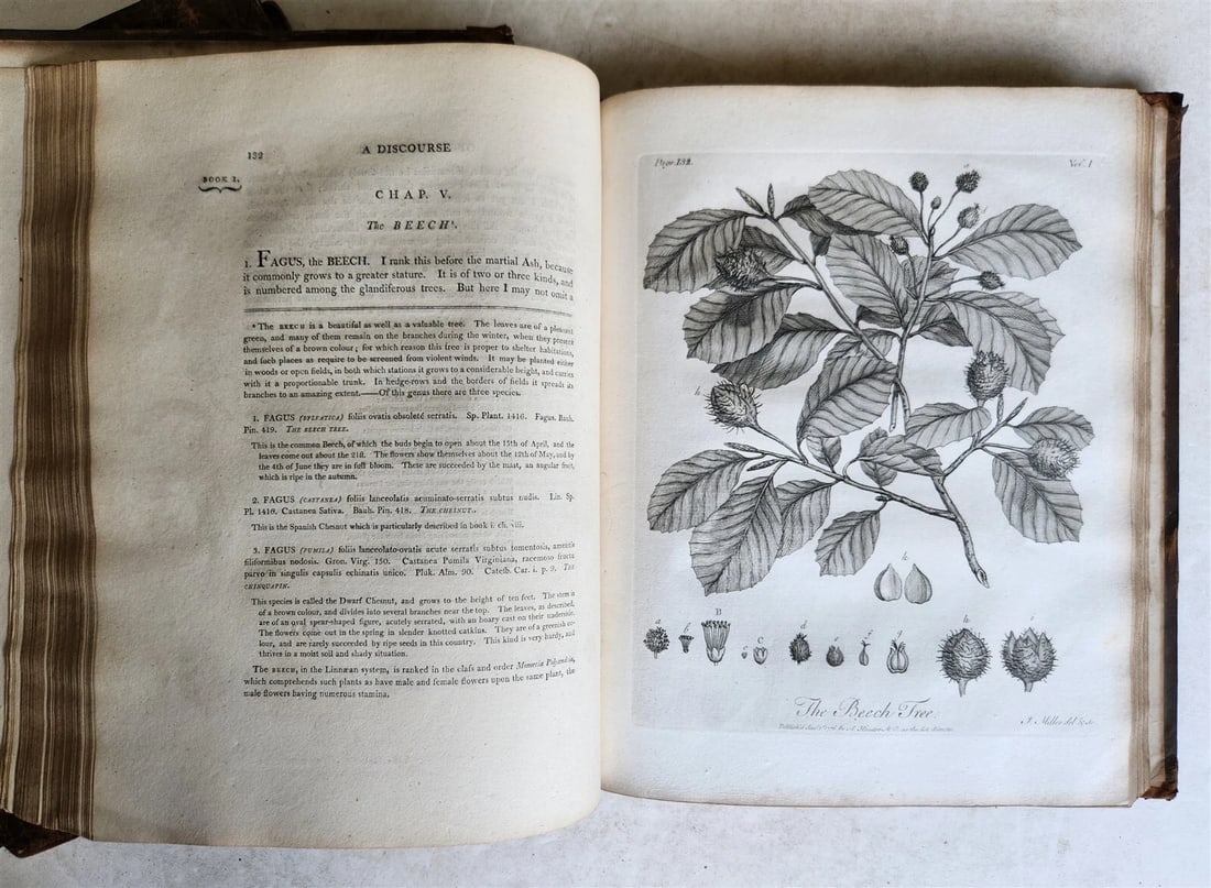 1801 SILVA: DISCOURSE OF FOREST TREES 2 VOLUMES ILLUSTRATED antique in ENGLISH - 14