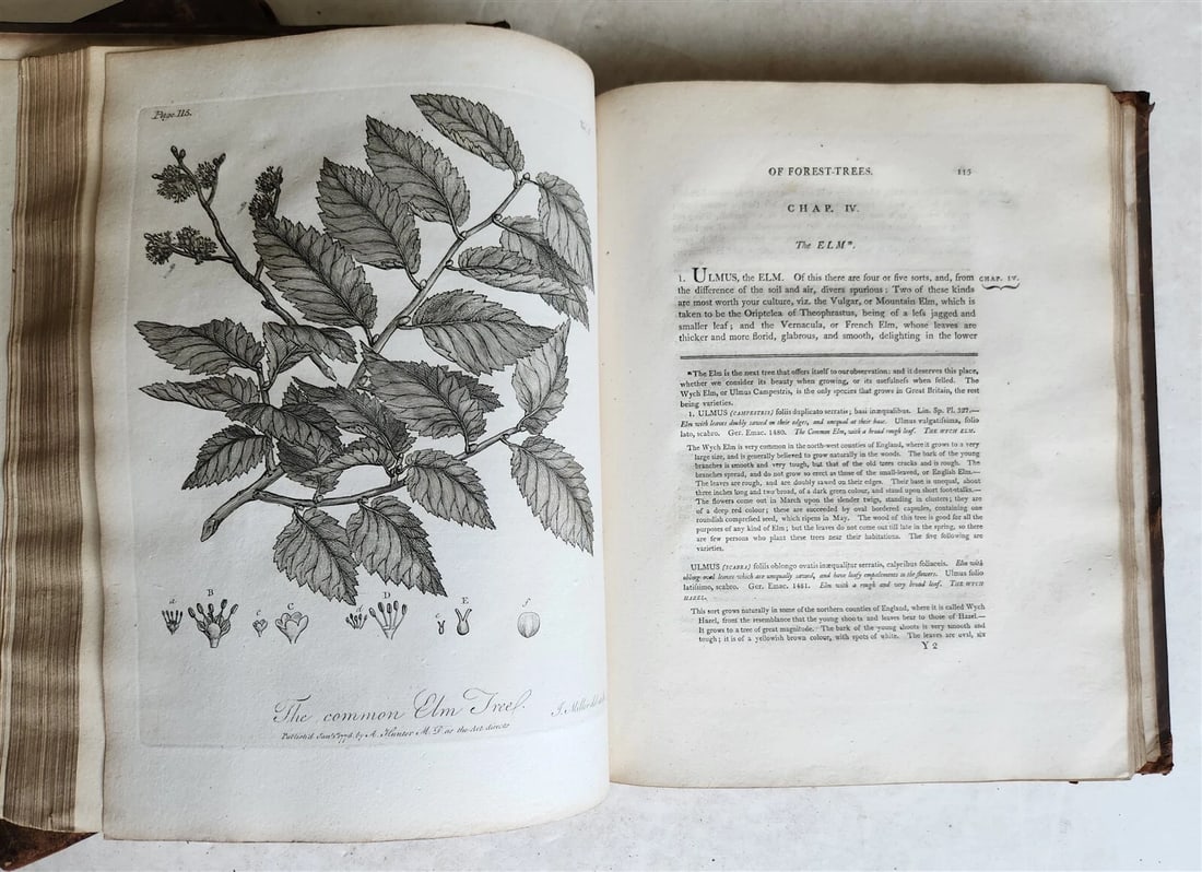 1801 SILVA: DISCOURSE OF FOREST TREES 2 VOLUMES ILLUSTRATED antique in ENGLISH - 15