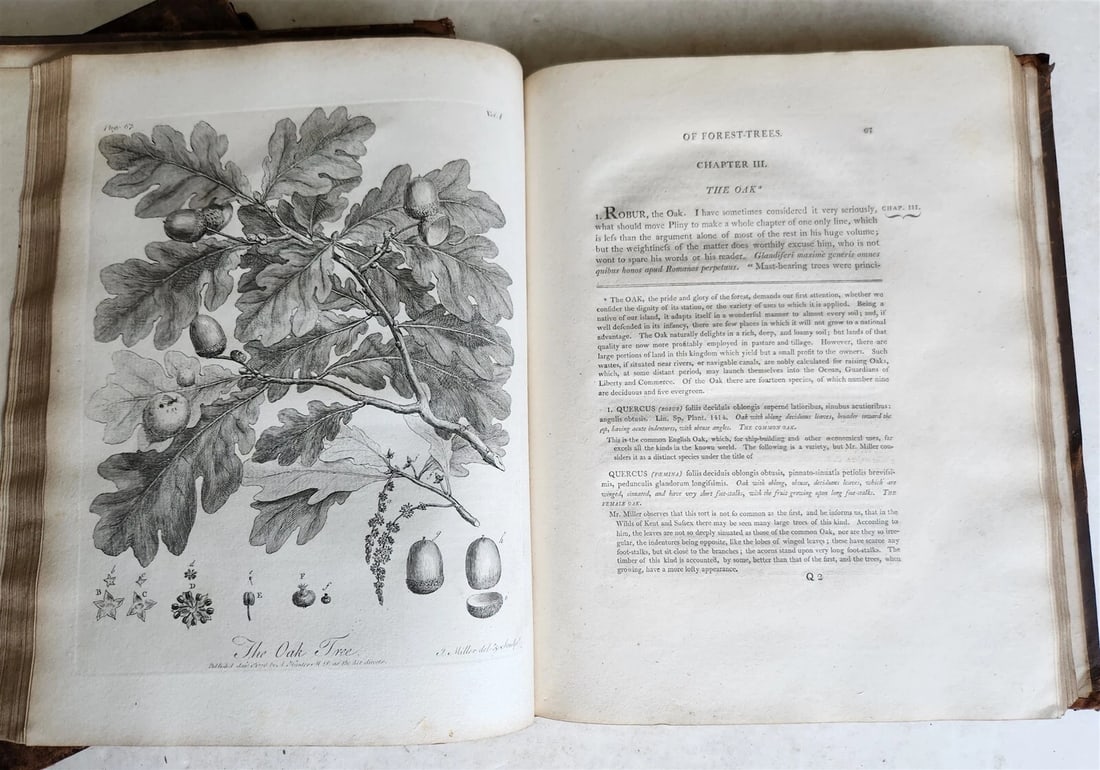 1801 SILVA: DISCOURSE OF FOREST TREES 2 VOLUMES ILLUSTRATED antique in ENGLISH - 16