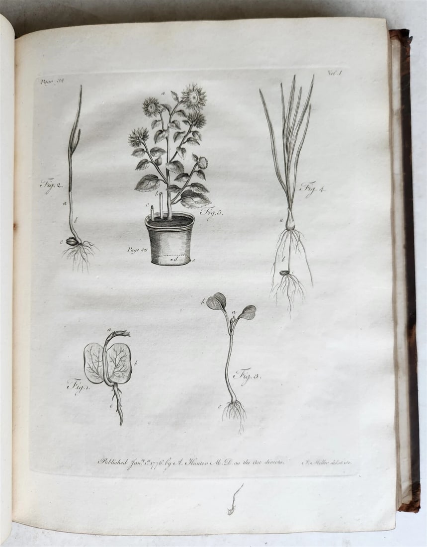 1801 SILVA: DISCOURSE OF FOREST TREES 2 VOLUMES ILLUSTRATED antique in ENGLISH - 17