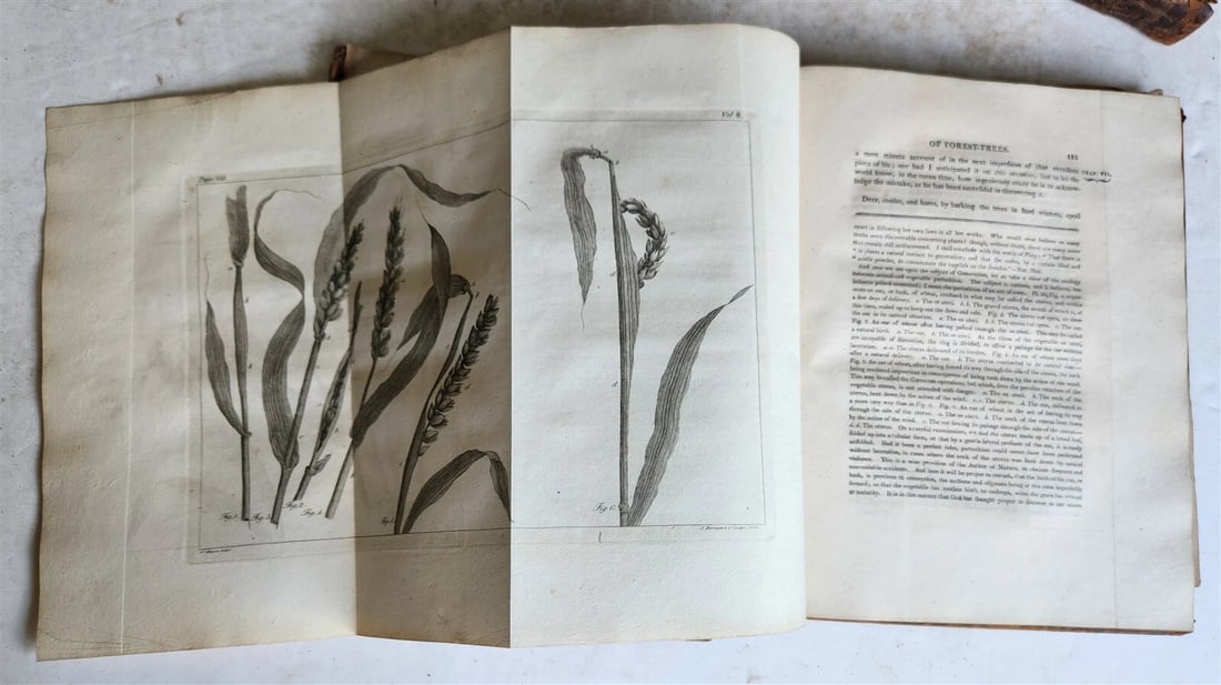 1801 SILVA: DISCOURSE OF FOREST TREES 2 VOLUMES ILLUSTRATED antique in ENGLISH - 18