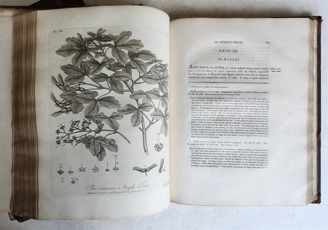 1801 SILVA: DISCOURSE OF FOREST TREES 2 VOLUMES ILLUSTRATED antique in ENGLISH - 6