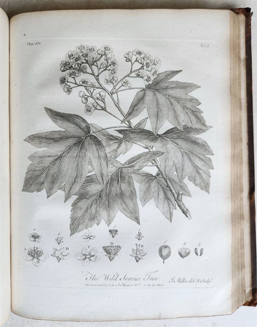 1801 SILVA: DISCOURSE OF FOREST TREES 2 VOLUMES ILLUSTRATED antique in ENGLISH - 8