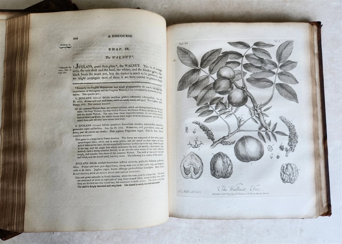 1801 SILVA: DISCOURSE OF FOREST TREES 2 VOLUMES ILLUSTRATED antique in ENGLISH - 9
