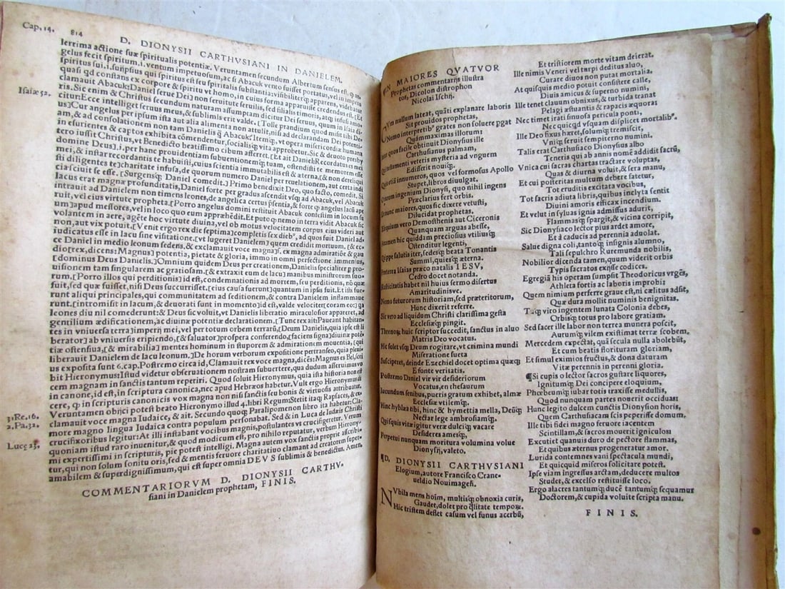 1548 Book of Prophets Commentaries by Dionysius Carthusian antique FOLIO vellum - 9