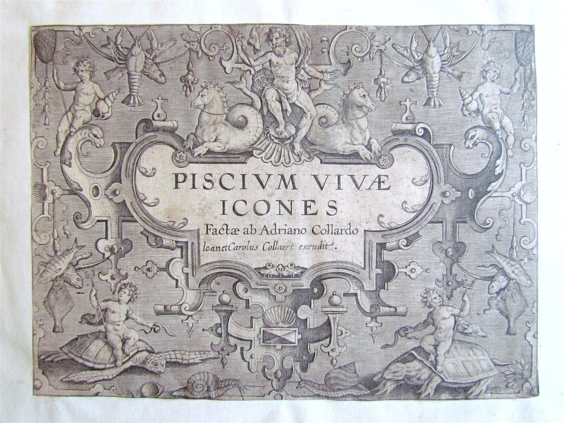 1610 PISCIUM VIVAE ICONES antique 20 ENGRAVINGS by ADRIAEN COLLAERT scarce: A.COLLAERT PISCIUM VIVAE ICONES A rare fish book from the publishing house of J. and C. Collaert, printed in Antwerp in 1610. Fine suite of engravings bound in a 19th century half leather binding