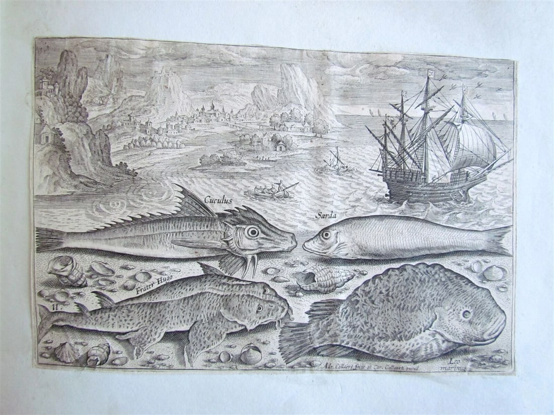 1610 PISCIUM VIVAE ICONES antique 20 ENGRAVINGS by ADRIAEN COLLAERT scarce - 9