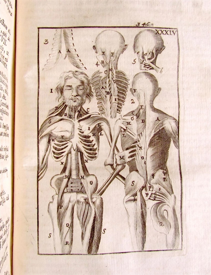 1717 2 VOLUMES ANATOMY ILLUSTRATED CORPORIS HUMANI ANATOMIAE antique in LATIN - 11