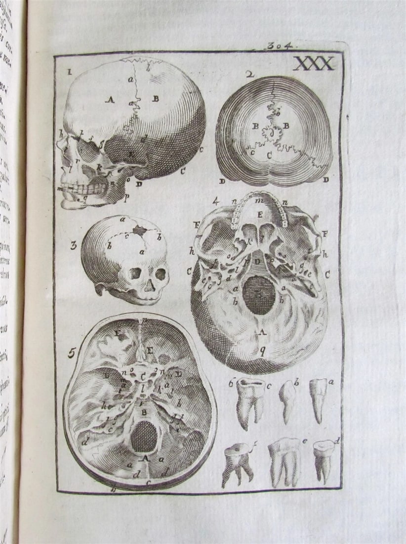 1717 2 VOLUMES ANATOMY ILLUSTRATED CORPORIS HUMANI ANATOMIAE antique in LATIN - 12