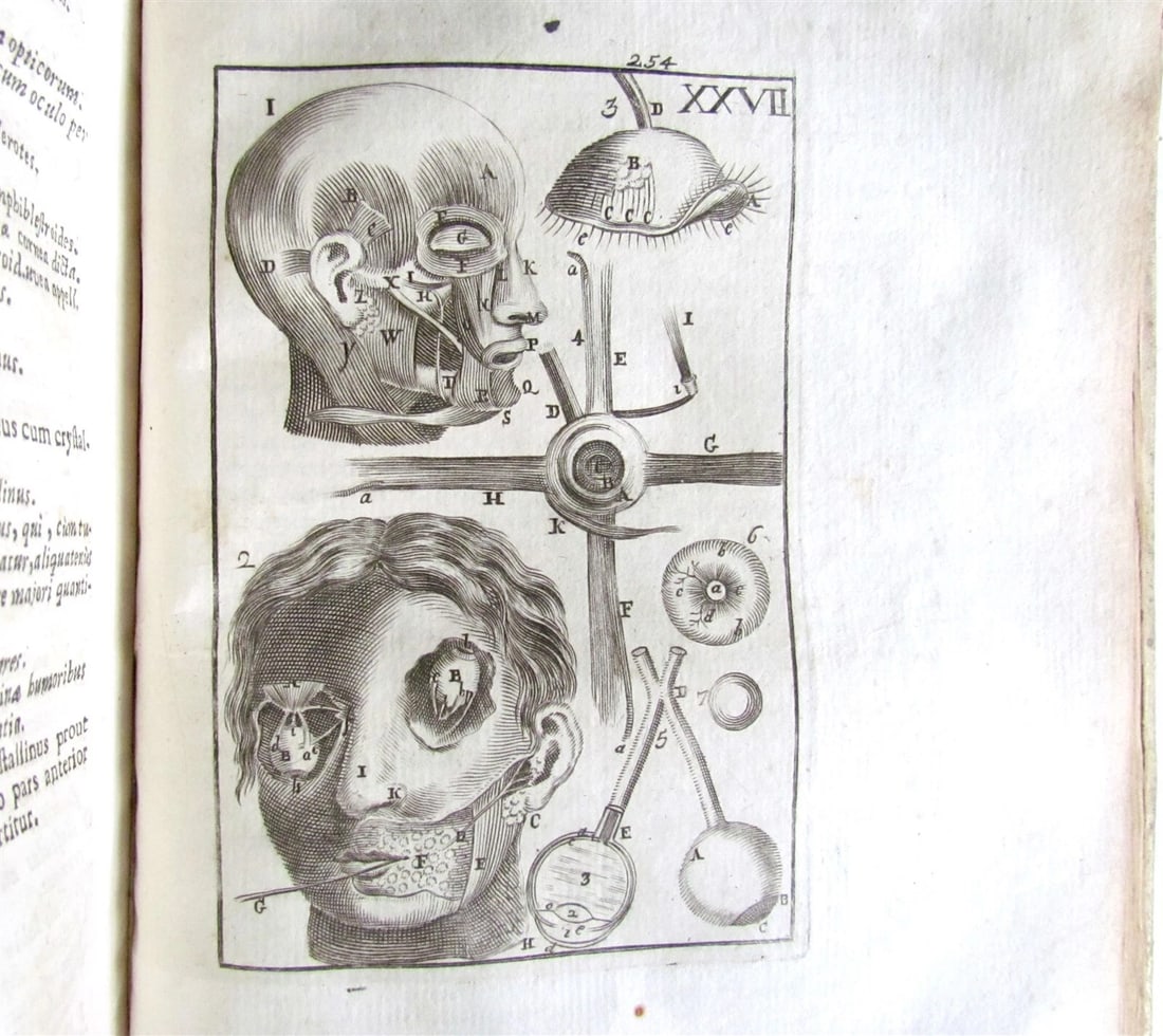 1717 2 VOLUMES ANATOMY ILLUSTRATED CORPORIS HUMANI ANATOMIAE antique in LATIN - 13