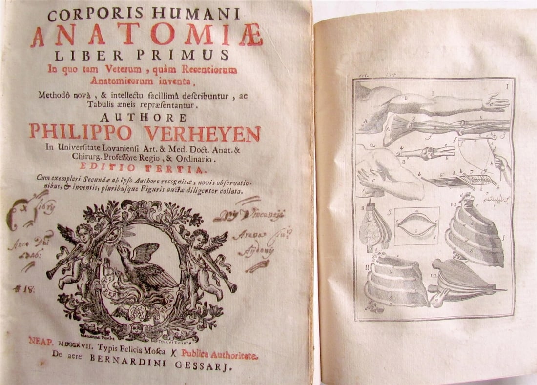 1717 2 VOLUMES ANATOMY ILLUSTRATED CORPORIS HUMANI ANATOMIAE antique in LATIN - 3