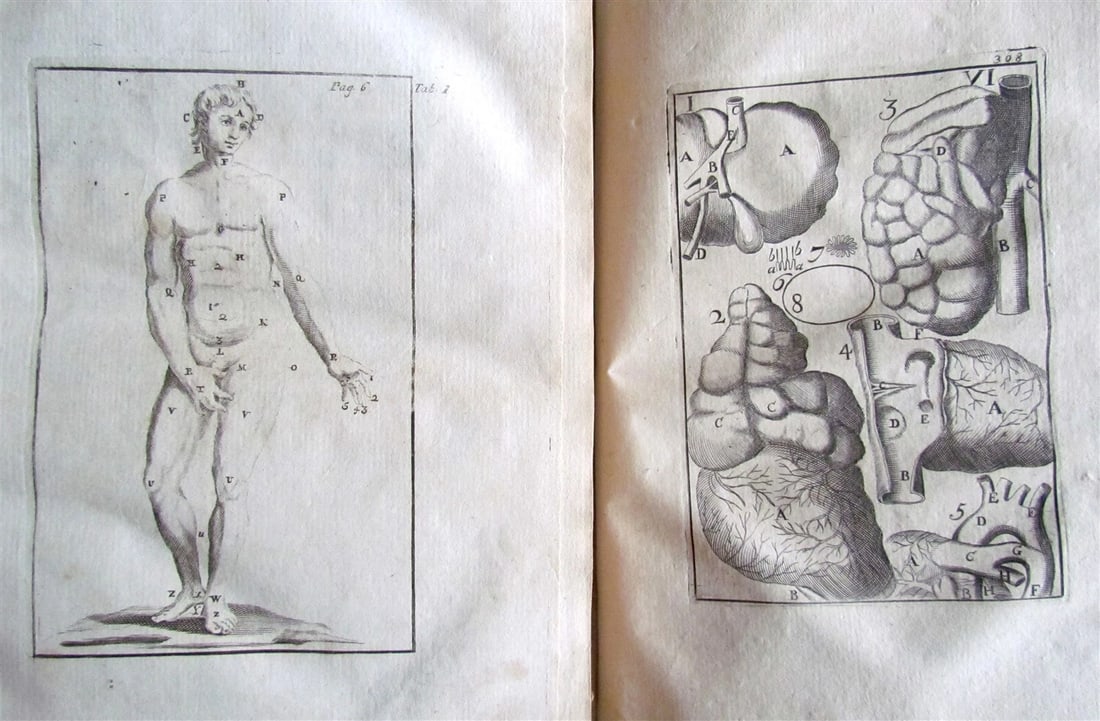 1717 2 VOLUMES ANATOMY ILLUSTRATED CORPORIS HUMANI ANATOMIAE antique in LATIN - 4