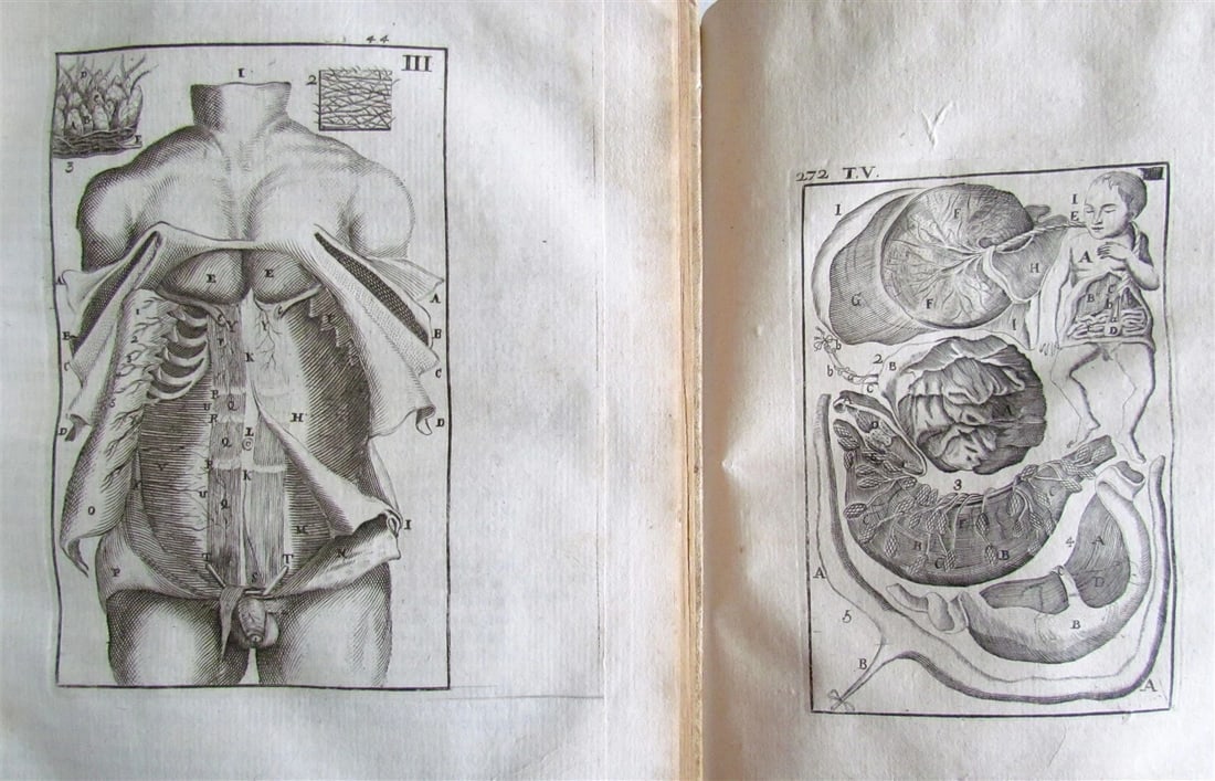 1717 2 VOLUMES ANATOMY ILLUSTRATED CORPORIS HUMANI ANATOMIAE antique in LATIN - 5