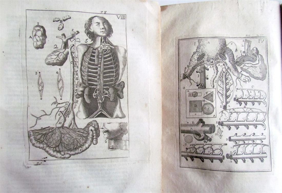 1717 2 VOLUMES ANATOMY ILLUSTRATED CORPORIS HUMANI ANATOMIAE antique in LATIN - 6