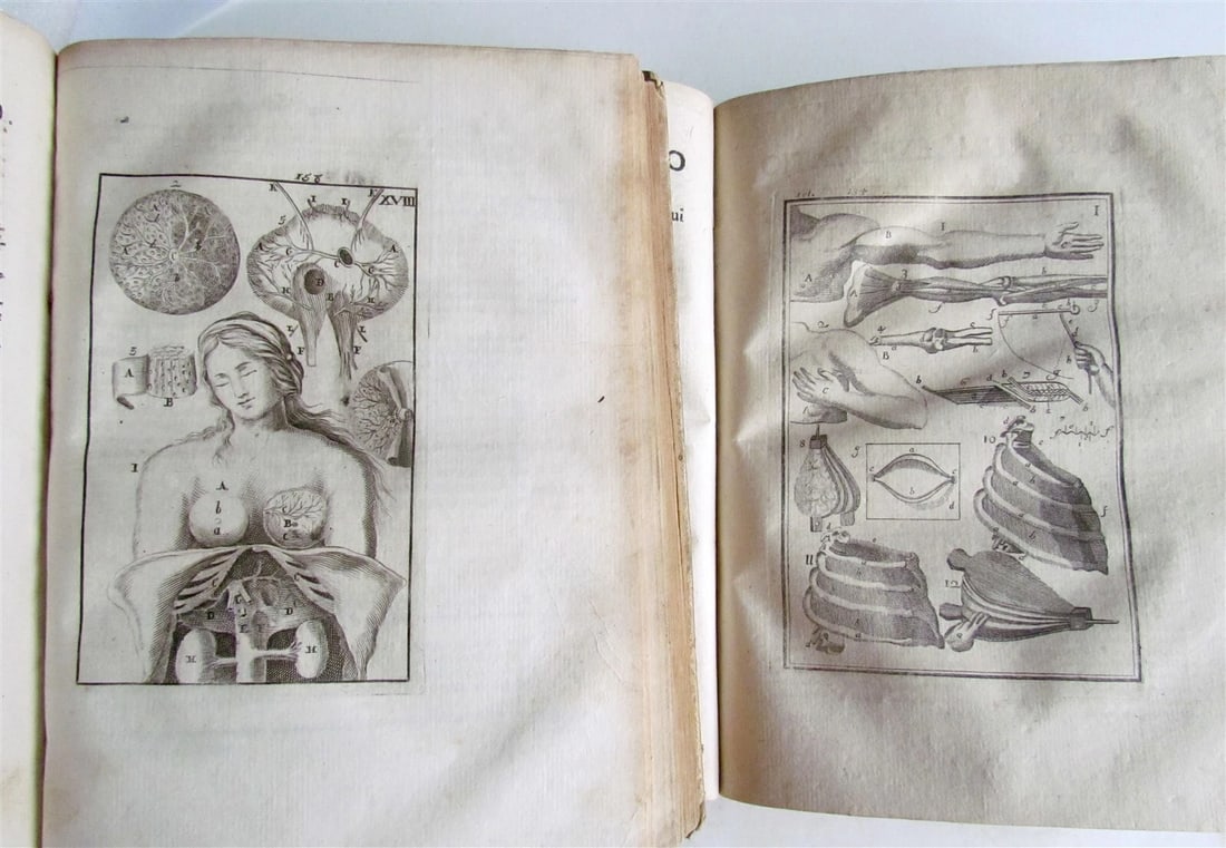 1717 2 VOLUMES ANATOMY ILLUSTRATED CORPORIS HUMANI ANATOMIAE antique in LATIN - 7