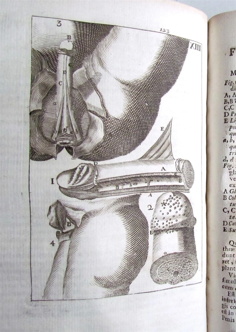 1717 2 VOLUMES ANATOMY ILLUSTRATED CORPORIS HUMANI ANATOMIAE antique in LATIN - 8
