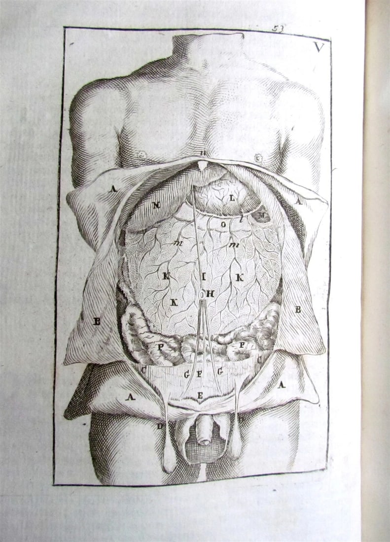 1717 2 VOLUMES ANATOMY ILLUSTRATED CORPORIS HUMANI ANATOMIAE antique in LATIN - 9