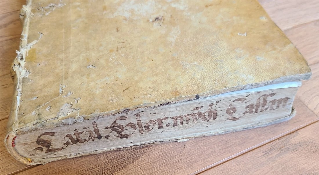 1576 ROYALY LAW rights & duties of monarchs ILLUSTRATED antique vellum FOLIO - 11