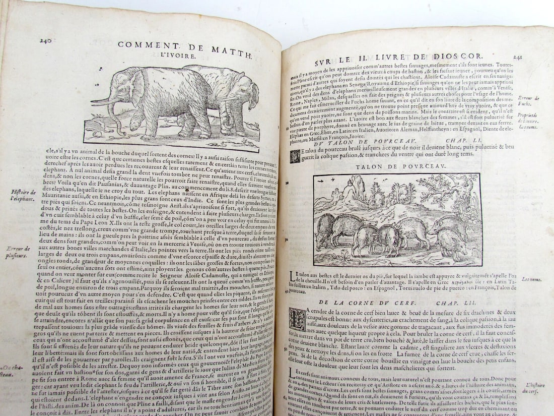1579 MATTHIOLE COMMENTARIES ILLUSTRATED PLANTS ANIMALS antique 16th cent. FOLIO - 17