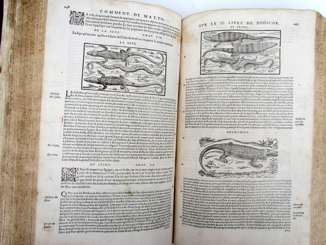 1579 MATTHIOLE COMMENTARIES ILLUSTRATED PLANTS ANIMALS antique 16th cent. FOLIO - 19
