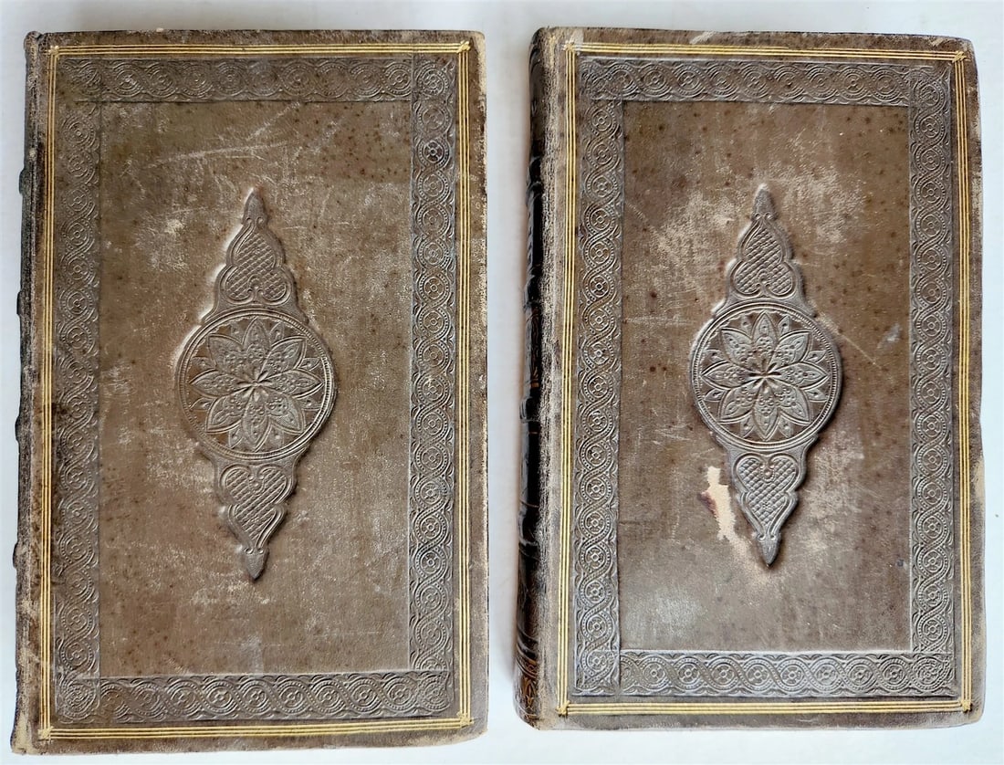 1830 History of General Hospital Grand Hotel-Dieu of Lyon 2 VOLS antique French - 5