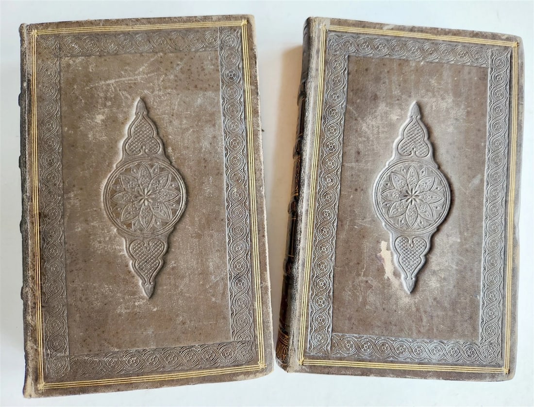 1830 History of General Hospital Grand Hotel-Dieu of Lyon 2 VOLS antique French - 8