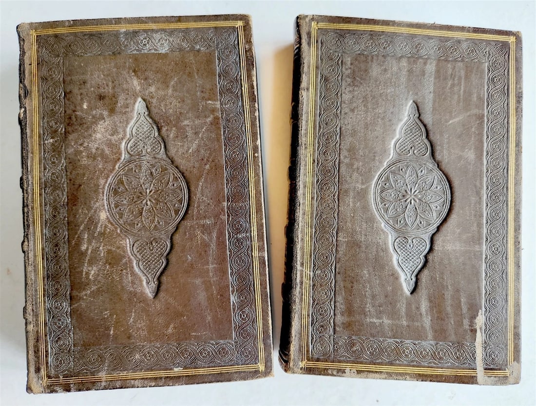 1830 History of General Hospital Grand Hotel-Dieu of Lyon 2 VOLS antique French - 9
