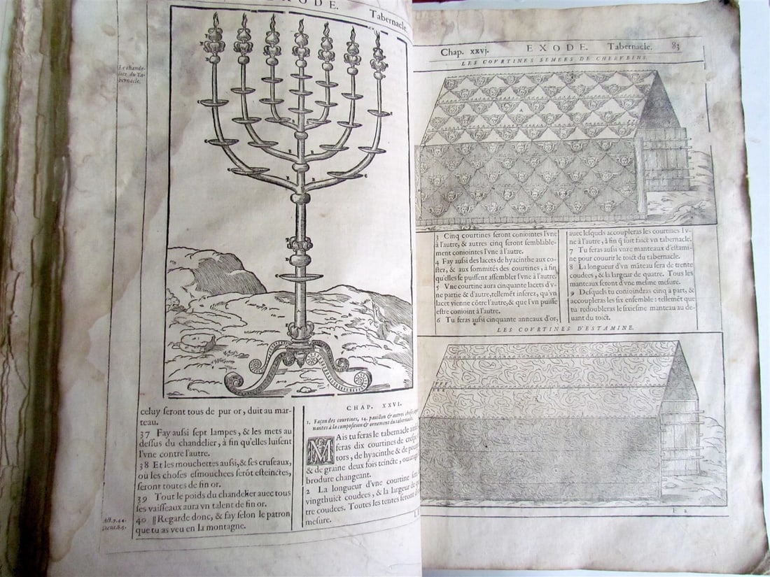 1585 LEUVEN BIBLE illustrated MASSIVE FOLIO antique in FRENCH La Saincte Bible - 10