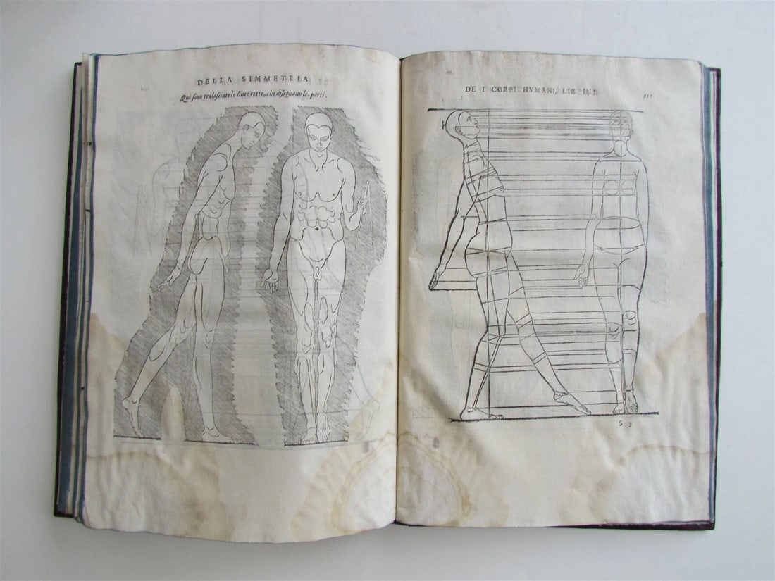 1594 ALBRECHT DURER FULLY ILLUSTRATED antique RARE Di Alberto Durero pittore - 11