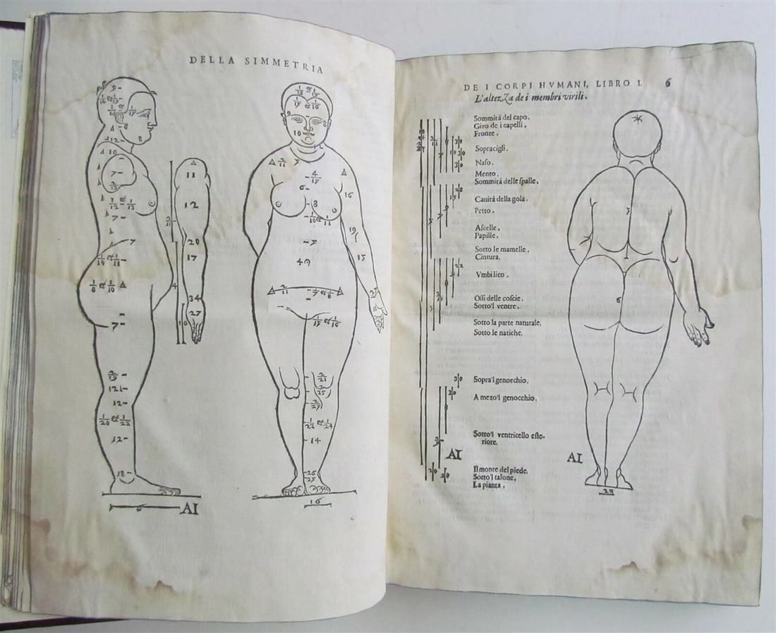 1594 ALBRECHT DURER FULLY ILLUSTRATED antique RARE Di Alberto Durero pittore - 3