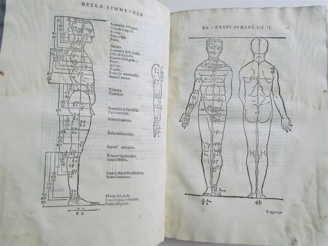 1594 ALBRECHT DURER FULLY ILLUSTRATED antique RARE Di Alberto Durero pittore - 4