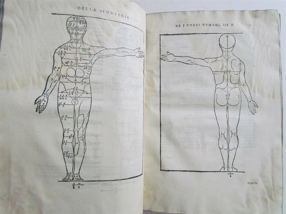 1594 ALBRECHT DURER FULLY ILLUSTRATED antique RARE Di Alberto Durero pittore - 5