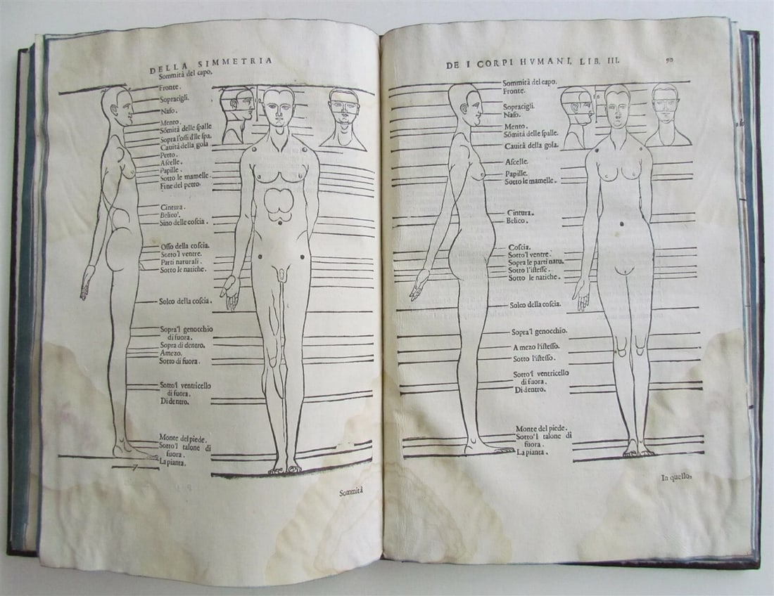 1594 ALBRECHT DURER FULLY ILLUSTRATED antique RARE Di Alberto Durero pittore - 8