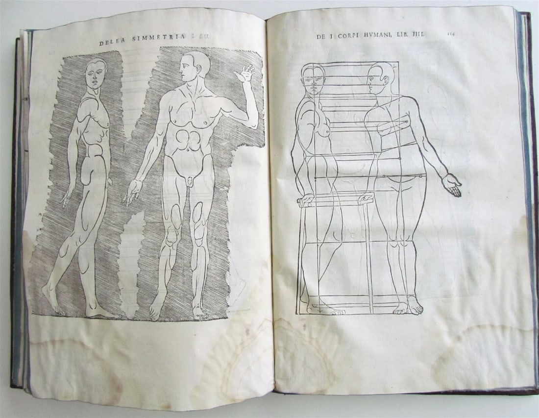 1594 ALBRECHT DURER FULLY ILLUSTRATED antique RARE Di Alberto Durero pittore - 9
