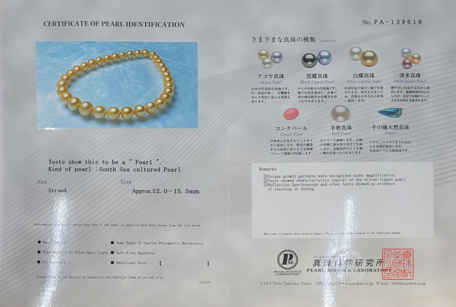 Necklace PSL Certified Australian Deep Golden South Sea Pearls - Huge Size - 12.0x15.5mm - 9
