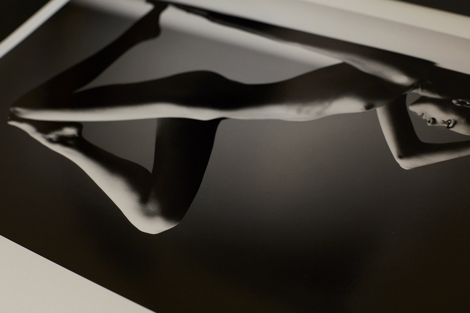 Body Architecture - 10