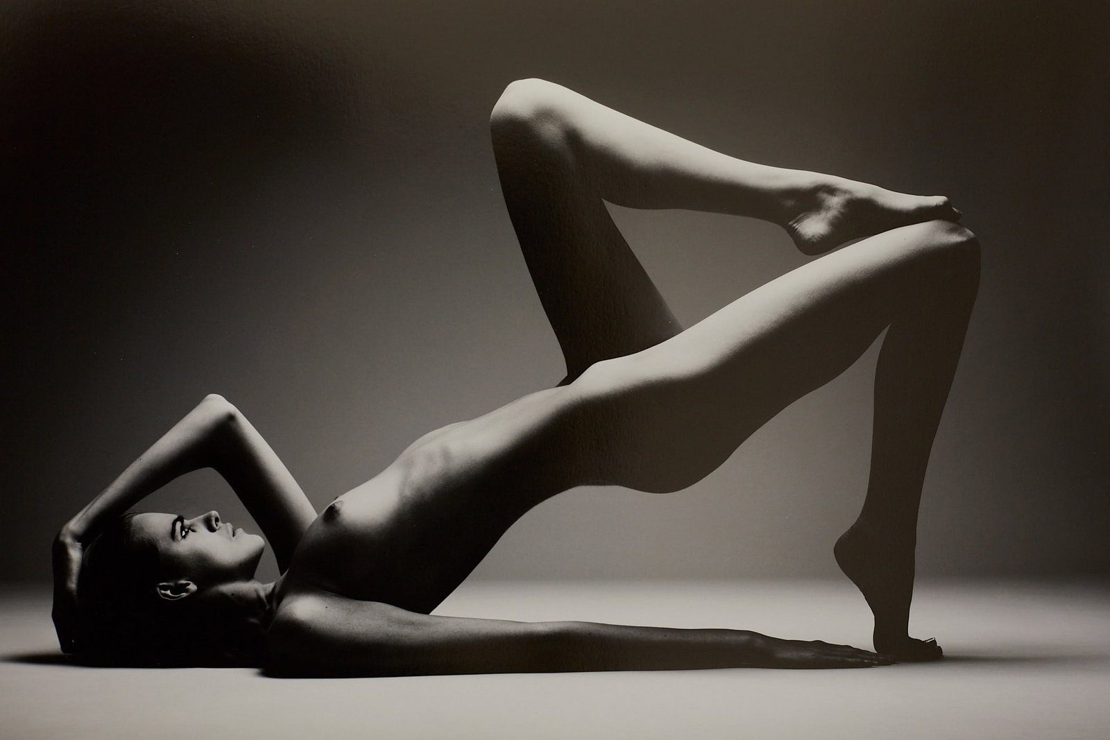 Body Architecture - 4