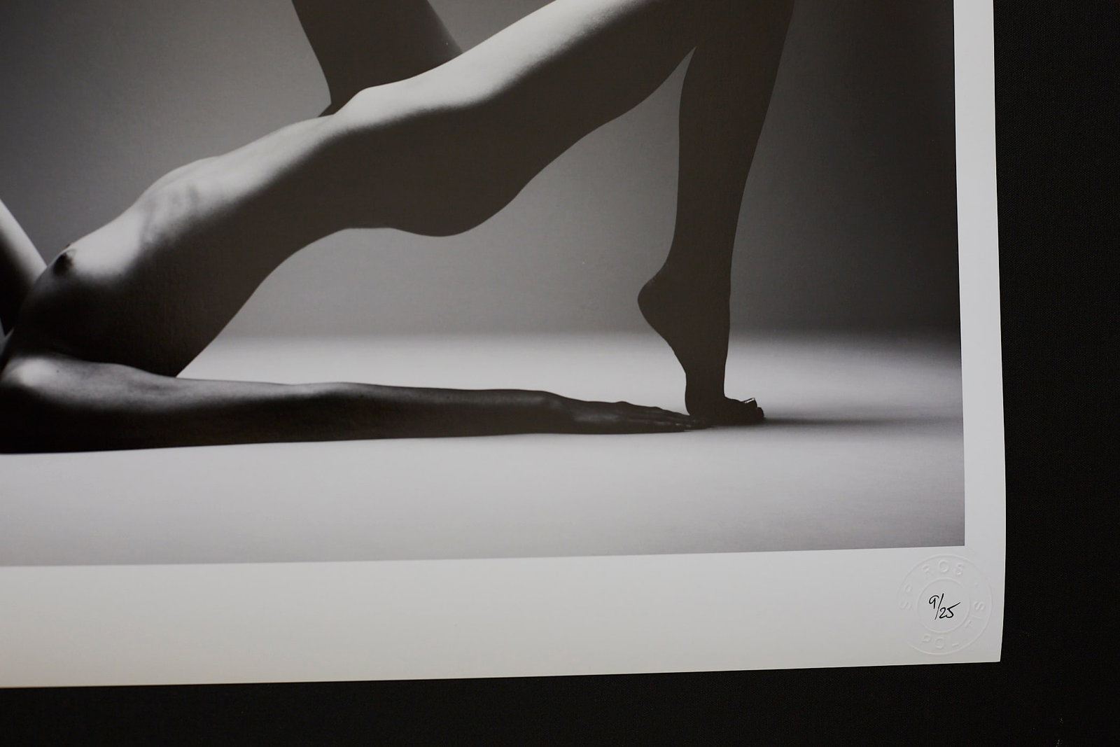Body Architecture - 5