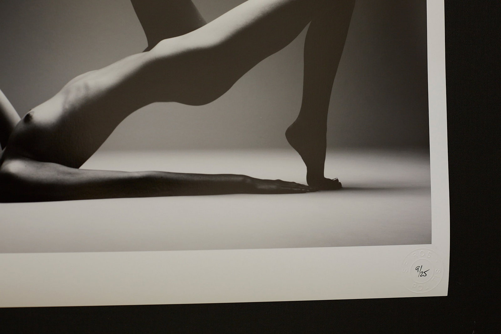 Body Architecture - 6