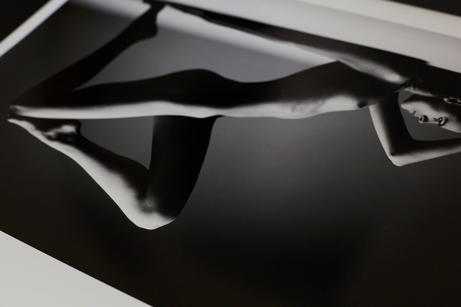 Body Architecture - 9