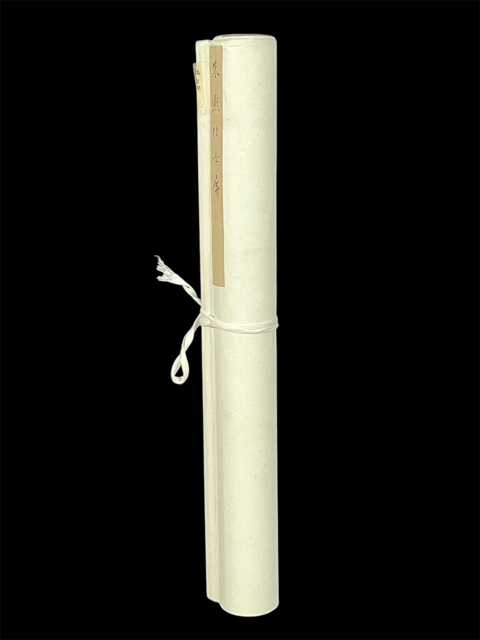 Chinese Scroll Painting - 9