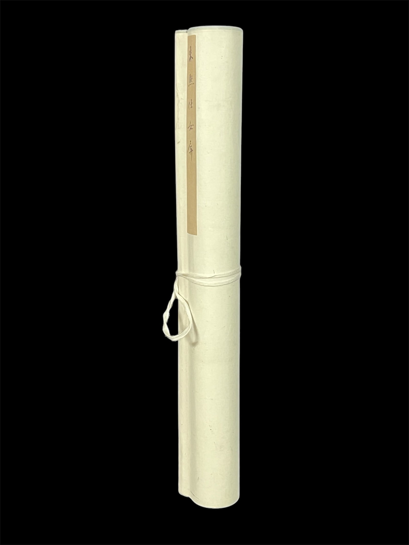 Chinese Scroll Painting - 12