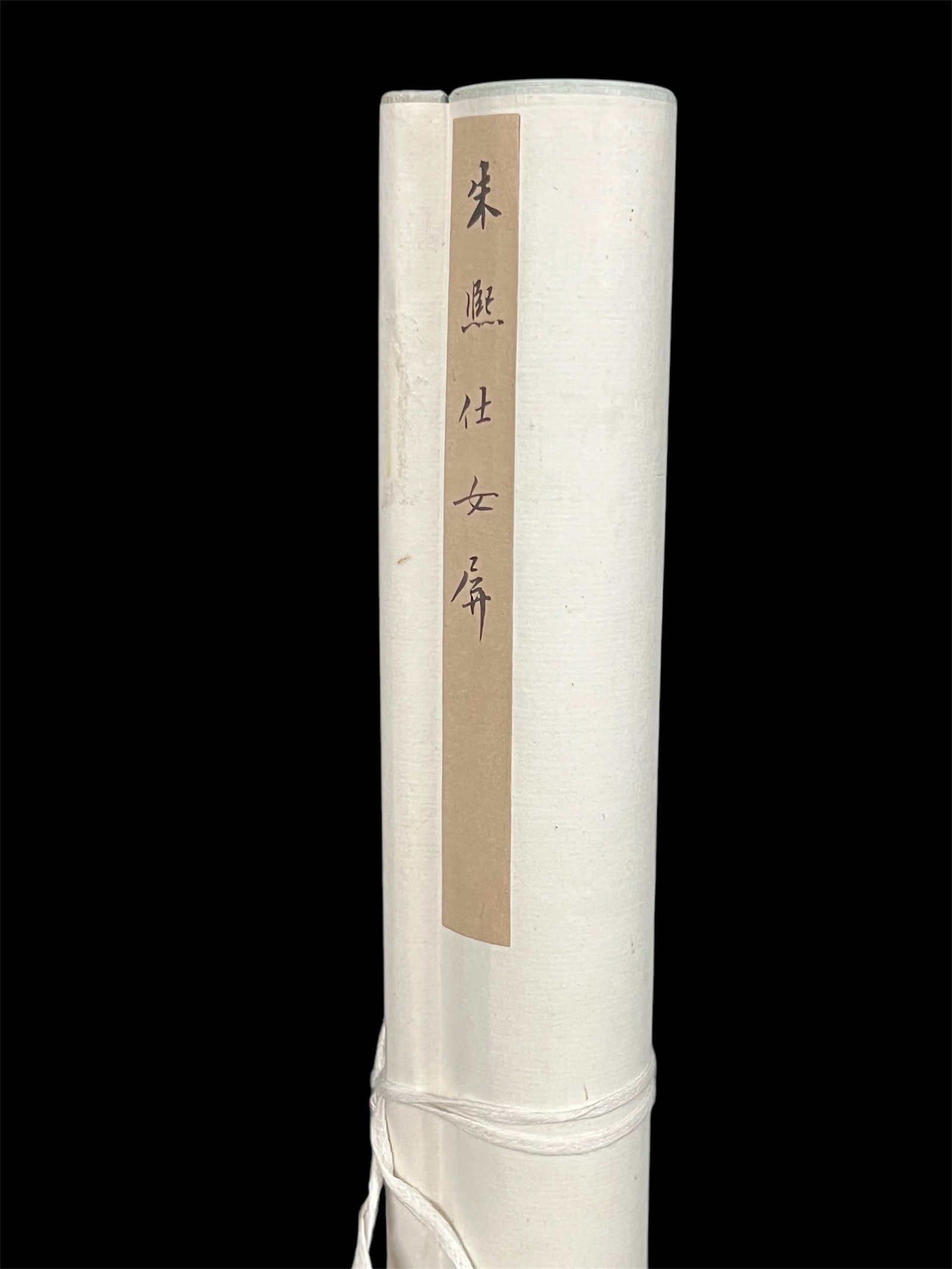 Chinese Scroll Painting - 14