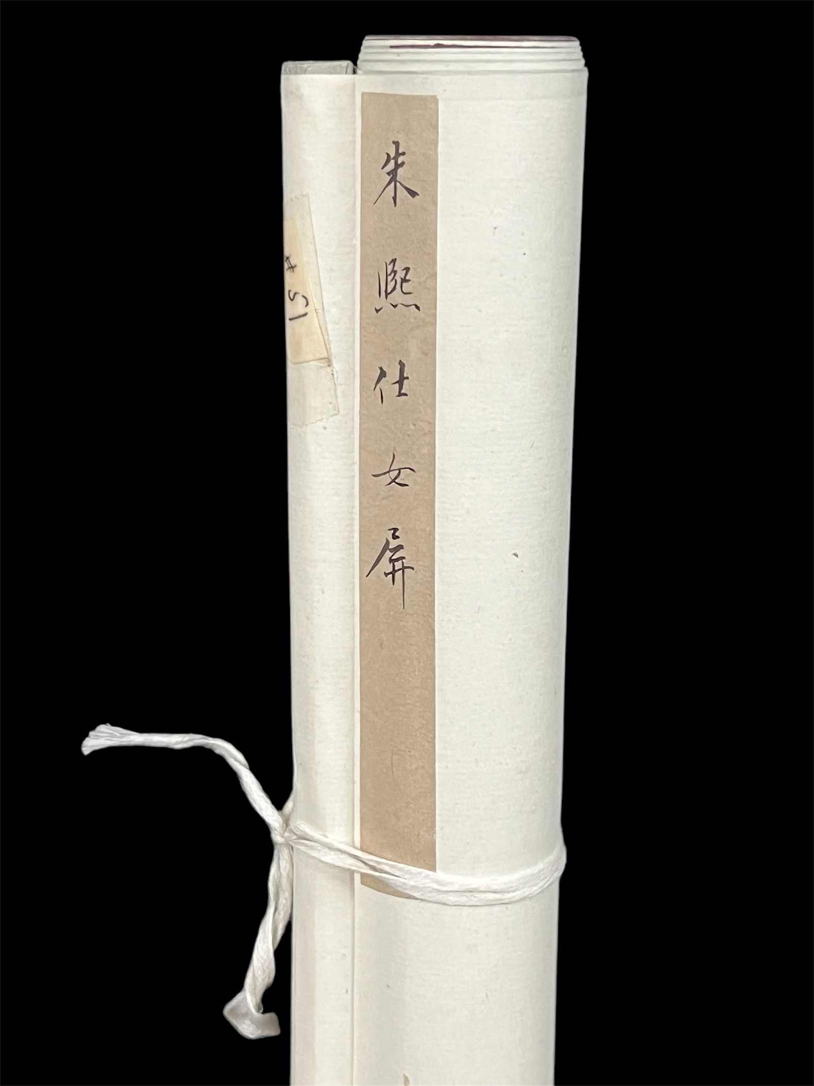 Chinese Scroll Painting - 5