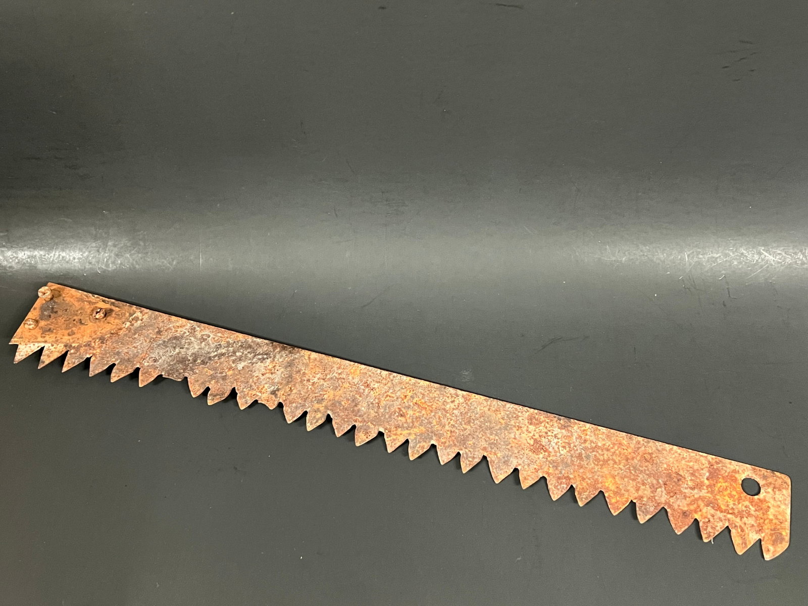 Vintage Farm Tools Saw Blade - 6
