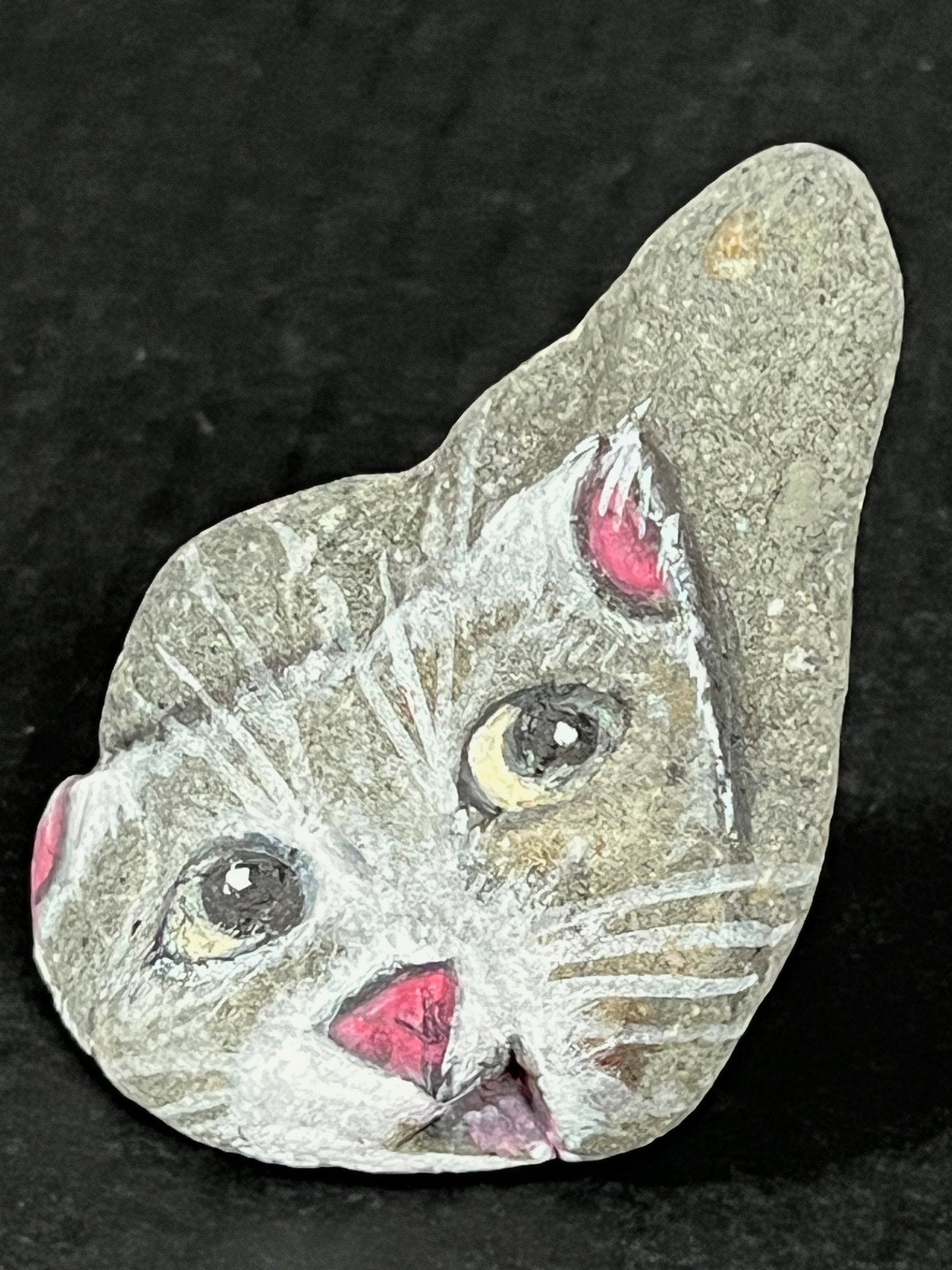 Paperweight Hand Painted Rock Art Dog Design (1 of 6)