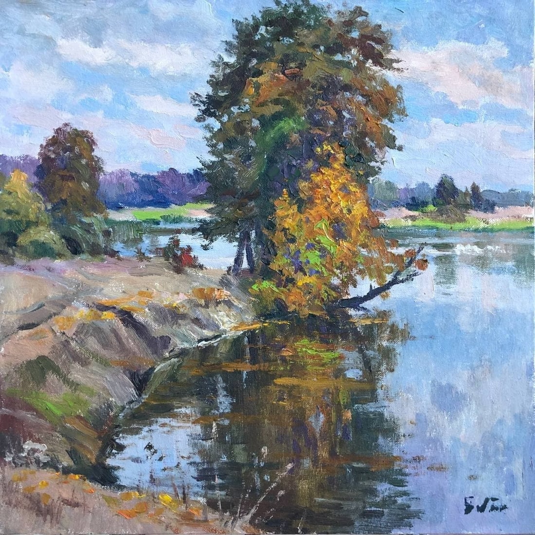 Oil painting Fallen treee Vyacheslav Petrovich Babac (1 of 2)